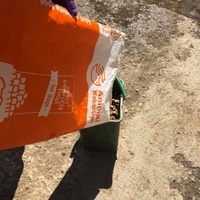 photo de livraison pour Florentina Cioaca