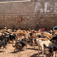 photo de livraison pour ADAN