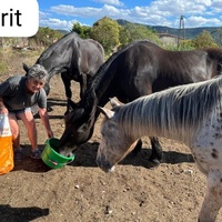 photo de livraison pour La Retraite des Chevaux des Causses