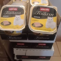 photo de livraison pour Les Chats-Pitresdelavi-Ste