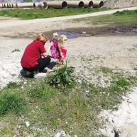 photo de livraison pour Mira Shorak Assante Di Capillo