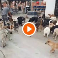 photo de livraison pour ПРИХВАТИЛИШТЕ ДРАЖЕВАЦ