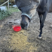 photo de livraison pour Association Equi’souffle