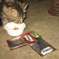 photo de livraison pour Jardin des Chats