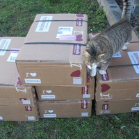 photo de livraison pour Jardin des Chats