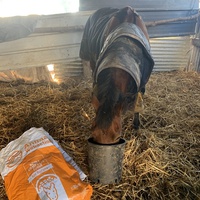 photo de livraison pour Espoir au Galop