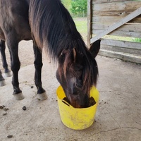 photo de livraison pour Refuge Cheval Nature En Aquitaine