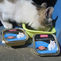 photo de livraison pour Jardin des Chats