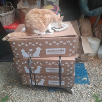 photo de livraison pour La Cantine des Minous