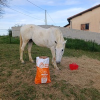 photo de livraison pour Les Crinières de Salherm