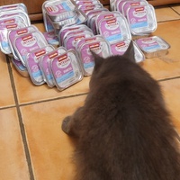 photo de livraison pour Le Grand Cœur de Lola