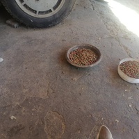 photo de livraison pour Hajar Aourz