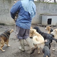 photo de livraison pour Svetlana Bjelogrlic