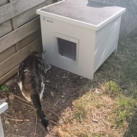 photo de livraison pour L’École du Chat de Saint-Denis Langevin