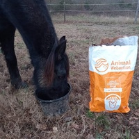 photo de livraison pour Arche et Relais