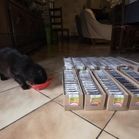 photo de livraison pour URGENCE AIDE ANIMAUX