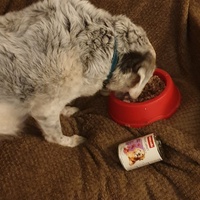 photo de livraison pour AVRAH