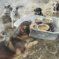 photo de livraison pour Svetlana Bjelogrlic