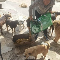 photo de livraison pour ПРИХВАТИЛИШТЕ ДРАЖЕВАЦ