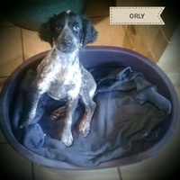 photo de livraison pour EVA Espoir de Vivre Animaux