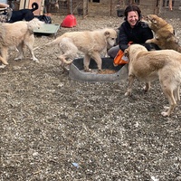 photo de livraison pour Saving Orphaned Souls Sheila's Animal Rescue Mission