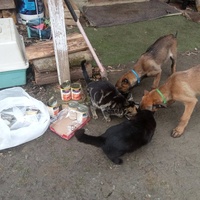 photo de livraison pour L'Esperanza