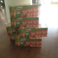 photo de livraison pour Association Des  Chats  De Hyeres