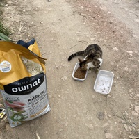 photo de livraison pour Ecole du Chat des Alpilles