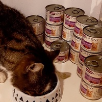 photo de livraison pour La maisonnée de Gloria