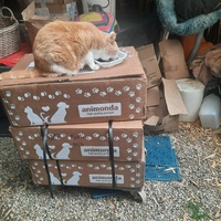 photo de livraison pour La Cantine des Minous
