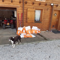 photo de livraison pour Chats errants du val du crenu