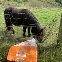 photo de livraison pour Espoir au Galop