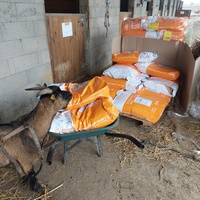 photo de livraison pour Les Chevaux d'Elo