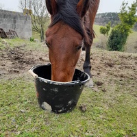 photo de livraison pour Les Crinières de Salherm