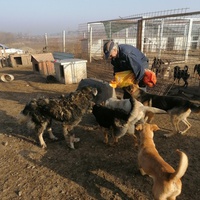 photo de livraison pour Association for the protection of animals "BAK"