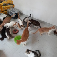 photo de livraison pour Ghita Muller El Jirari
