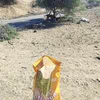 photo de livraison pour 4 Pattes Mogador