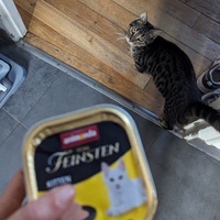 photo de livraison pour Association C.A.T.S. Chat Animal Terrien Solidarité