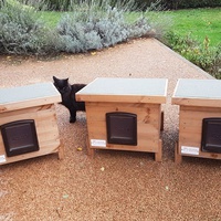 photo de livraison pour Chat de Gout'hier sans Toit