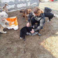 photo de livraison pour Mariuta