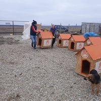 photo de livraison pour Animal Shields Oradea