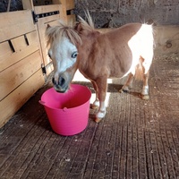 photo de livraison pour Syrou