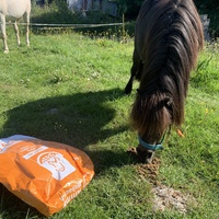photo de livraison pour Espoir au Galop