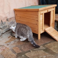 photo de livraison pour Refuge Quat'Pattes