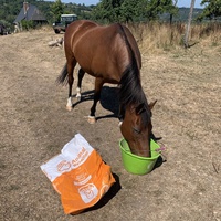 photo de livraison pour Espoir au Galop