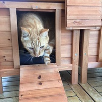 photo de livraison pour Refuge du Poil à la Plume