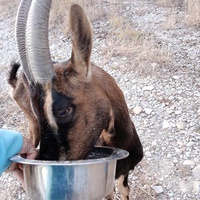 photo de livraison pour Refuge L'éco Sauvetage