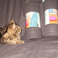 photo de livraison pour Jardin des Chats