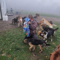 photo de livraison pour Silver Dog Srebrenica
