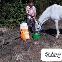 photo de livraison pour La Retraite des Chevaux des Causses
